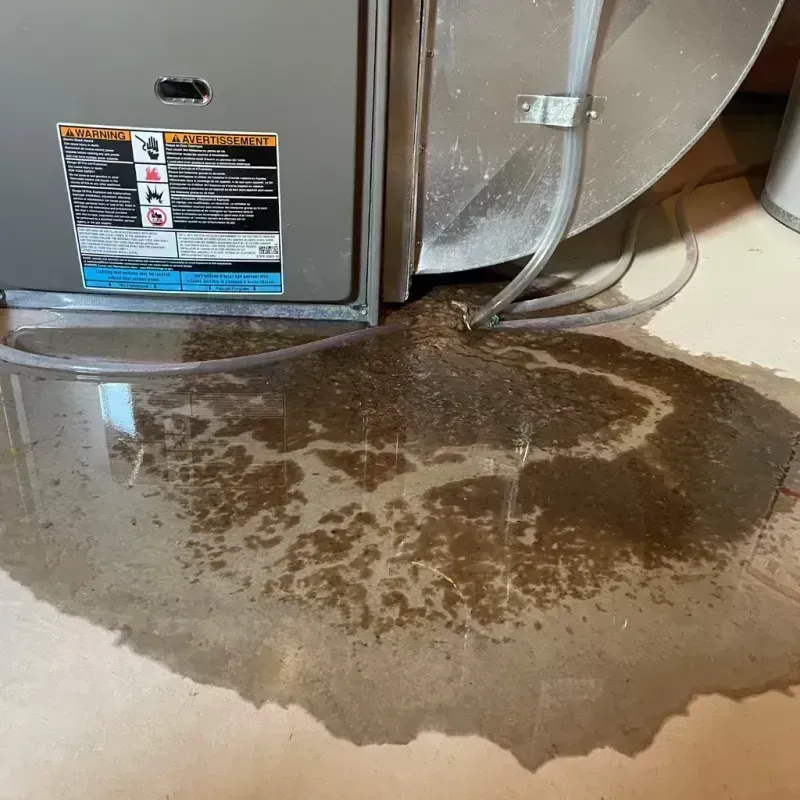 Appliance Leak Cleanup in Caldwell County, KY